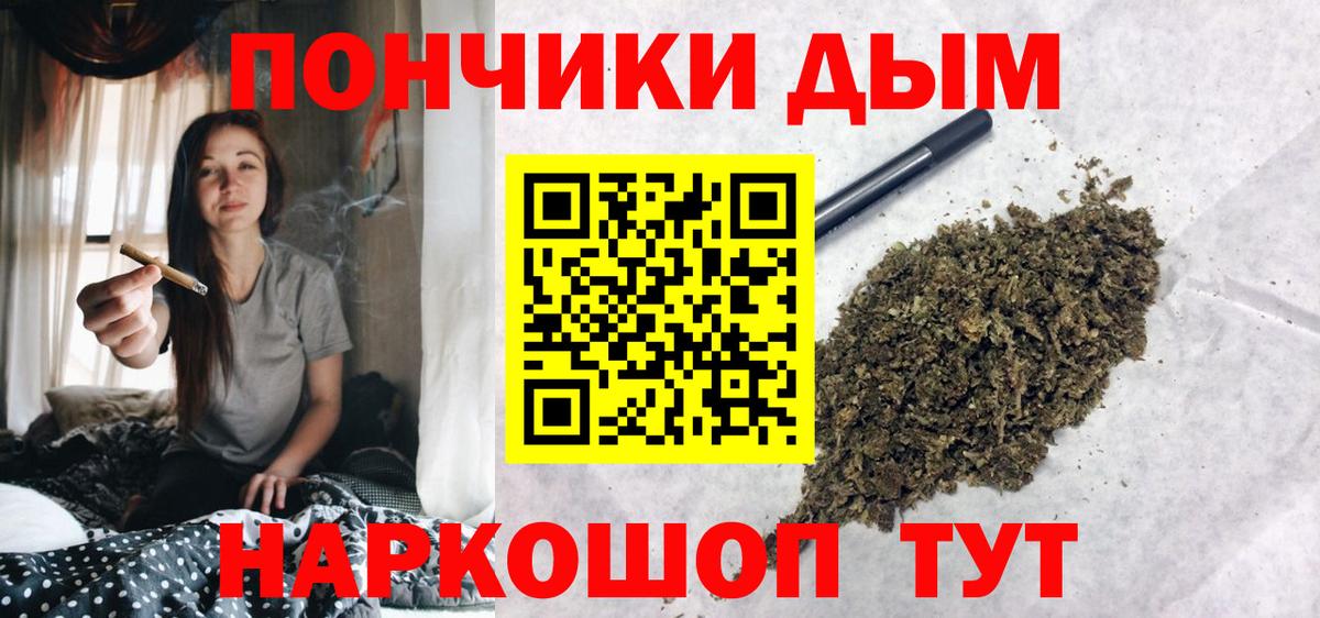 Бошки Шишки семена Якутск